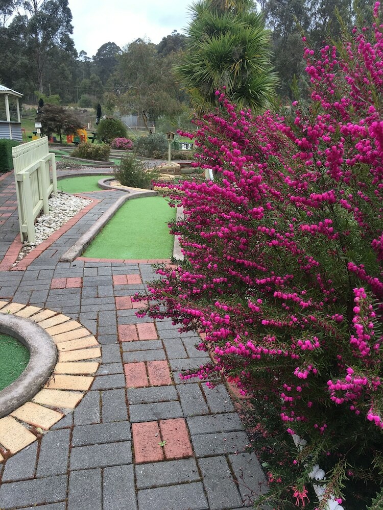 Apartamento Pemberton Lodge