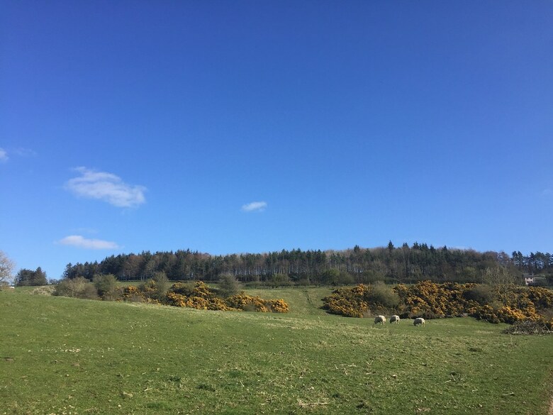 Cabana Jura @ Westcote Glamping