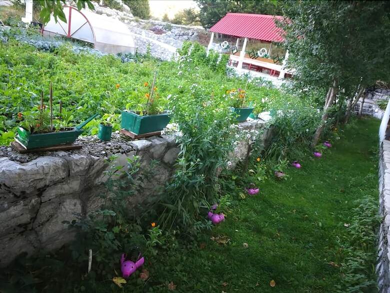B&B Ljepurice