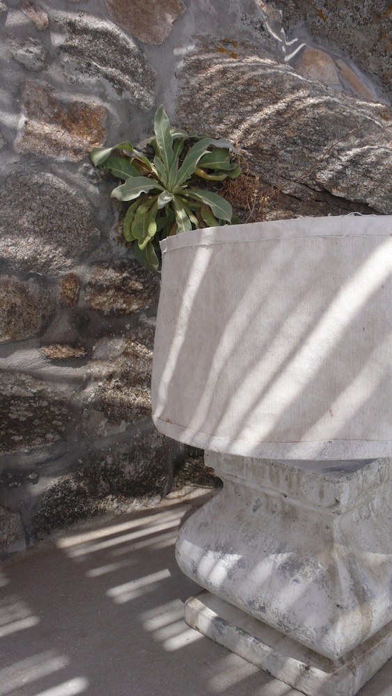 Villa Naturocka By The Pearls Collection