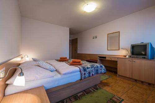 Hostal Penzion Eso