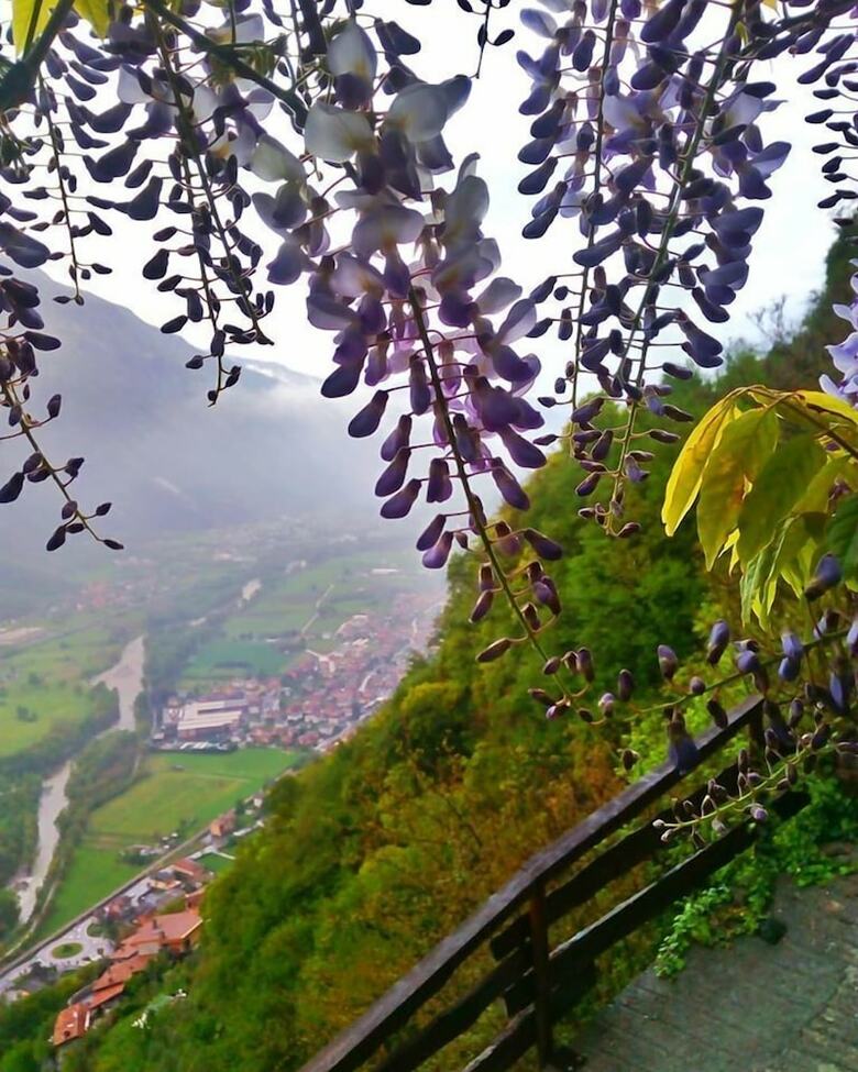 Agroturismo La Sognata