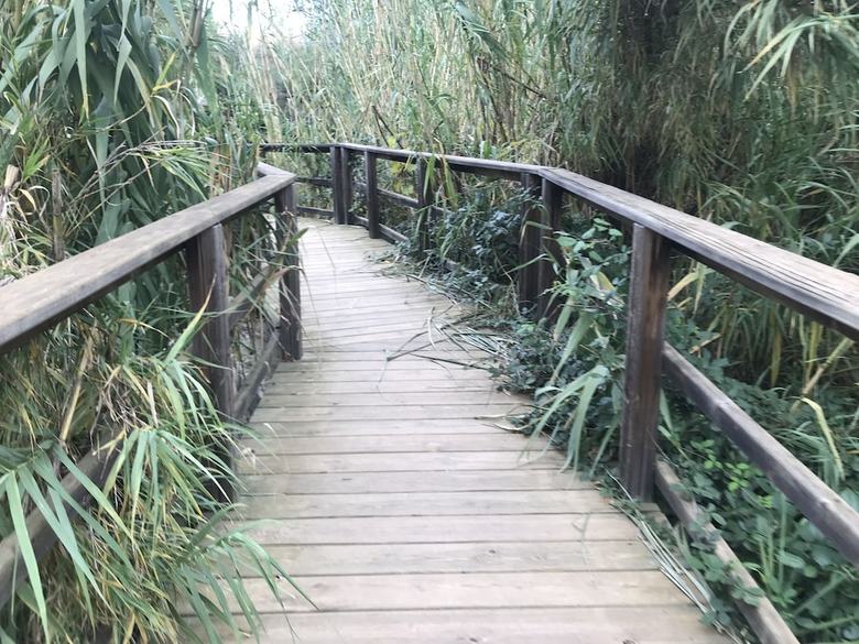 Agroturismo Casa El Rinc�n
