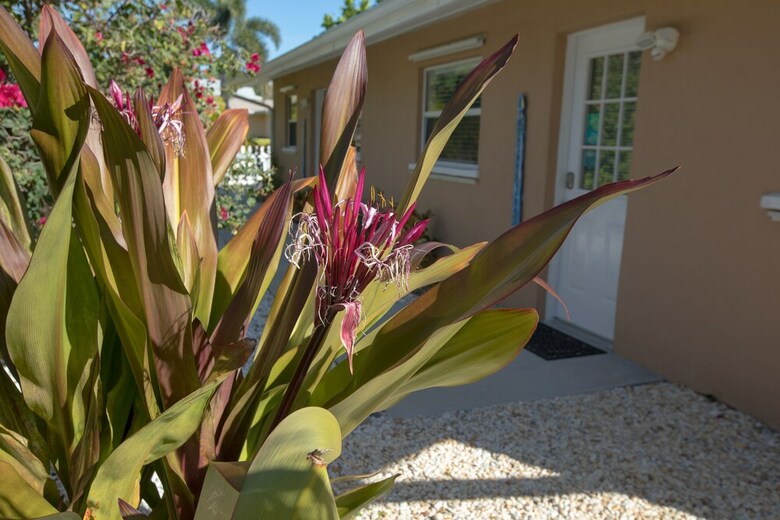 Apartamentos Indian Rocks Beach Suites
