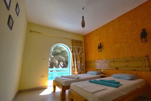 Albergue El Primo Hotel Dahab