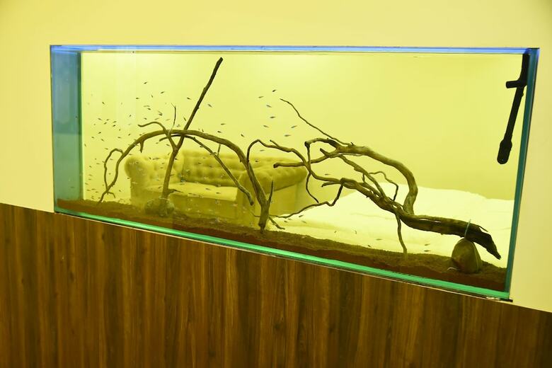 Hotel Fundera Aqua Stay
