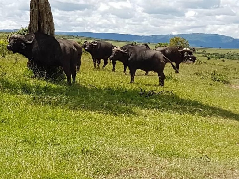 Posada Osero Enarau Camp
