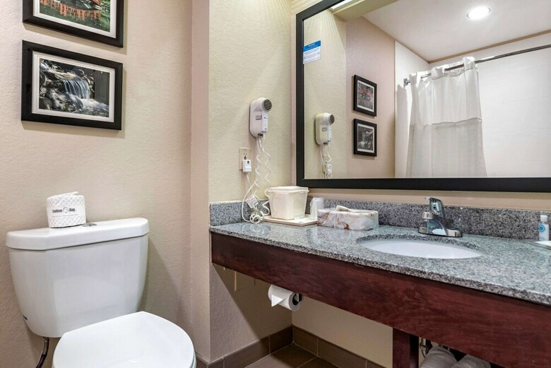 Hotel Comfort Inn Birmingham - Irondale