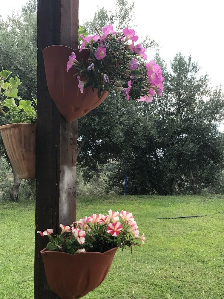 Agroturismo Agriturismo Pingitore