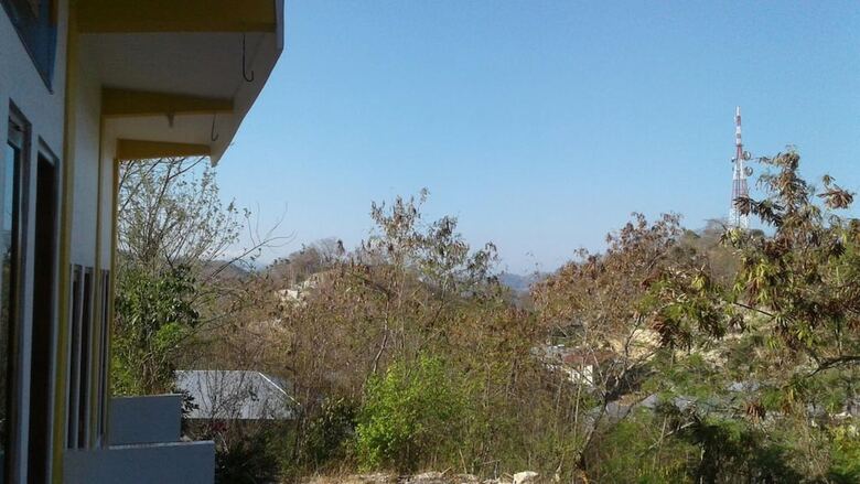 Tarsan Homestay - Hostel