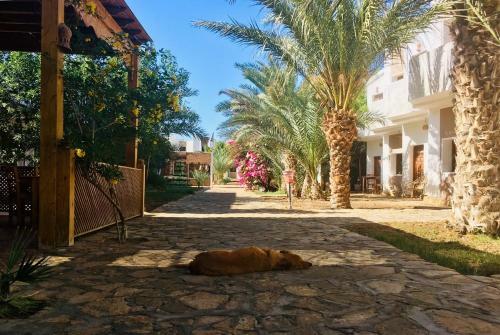 Albergue Jowhara Hotel