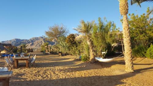 Albergue Nakhil Inn And Dream