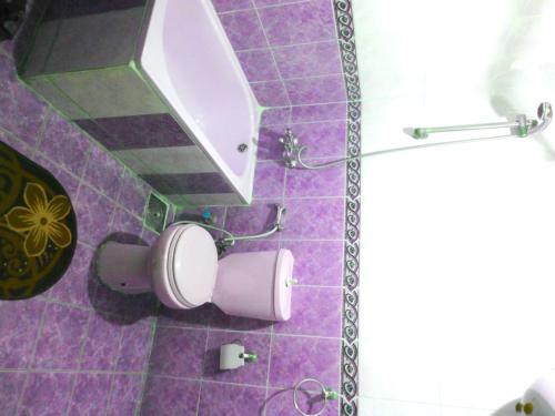 Albergue Sphinx Guest House Giza