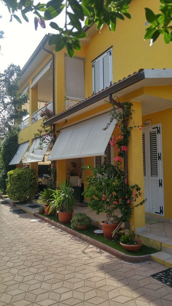 B&B Benjamin