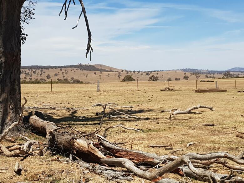 Yass Tiny Farm And Accommodation