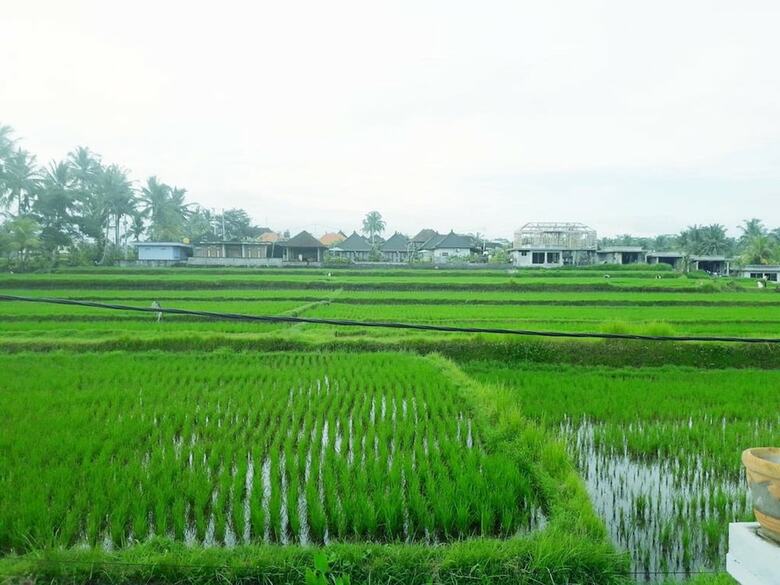 Hotel Tantra Guesthouse Ubud