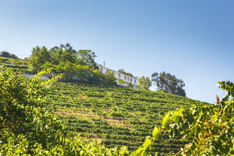 Agroturismo Quinta Do Valdal�gea