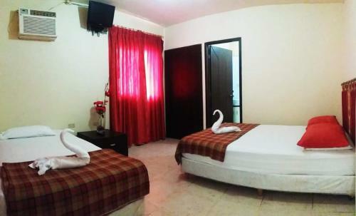 Posada Hostal Humpback Internacional