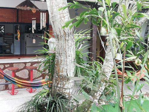 Hosteria Barlovento B&B