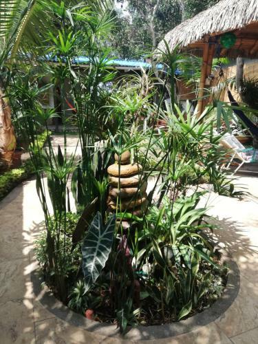 Hosteria Barlovento B&B