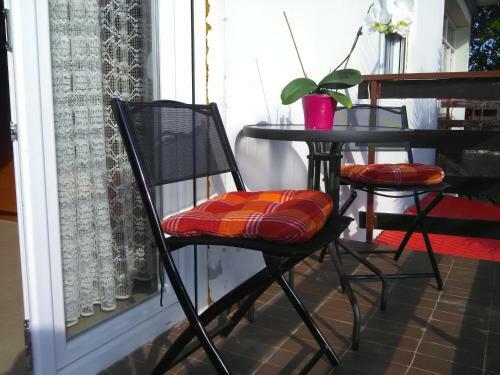 Apartment Ru?ica