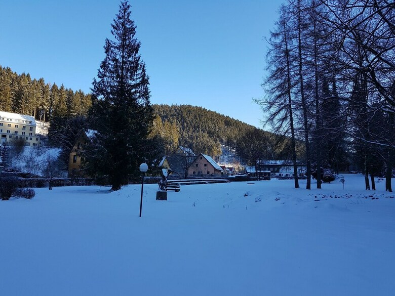 Spacious Apartment In Upper Harz Near River