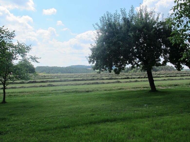 Spacious Holiday Home In Kleinwinklarn