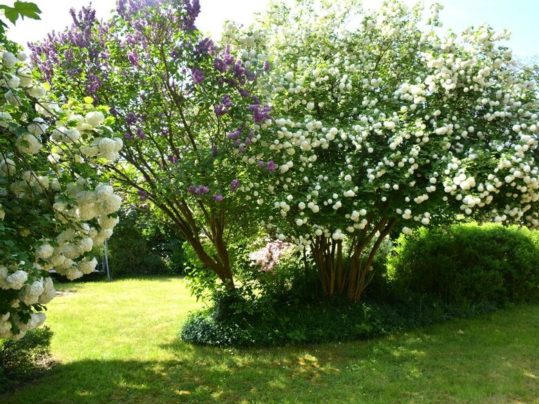 Large House With Beautiful Garden, Private Bathrooms, Beautiful Area