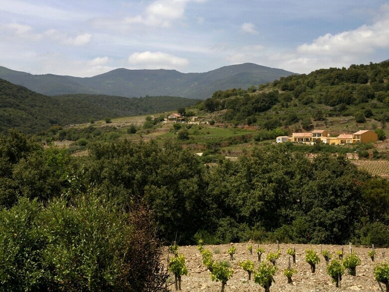 Chic Villa With In Roquebrun Swimming Pool