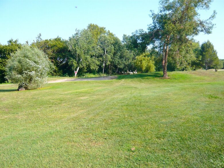 Cosy Holiday Home In Arles With Pool