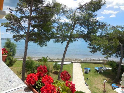 Apartamentos Villa Kayo
