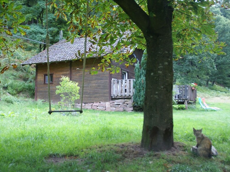 Cozy Holiday Home In Dabo Near Forest