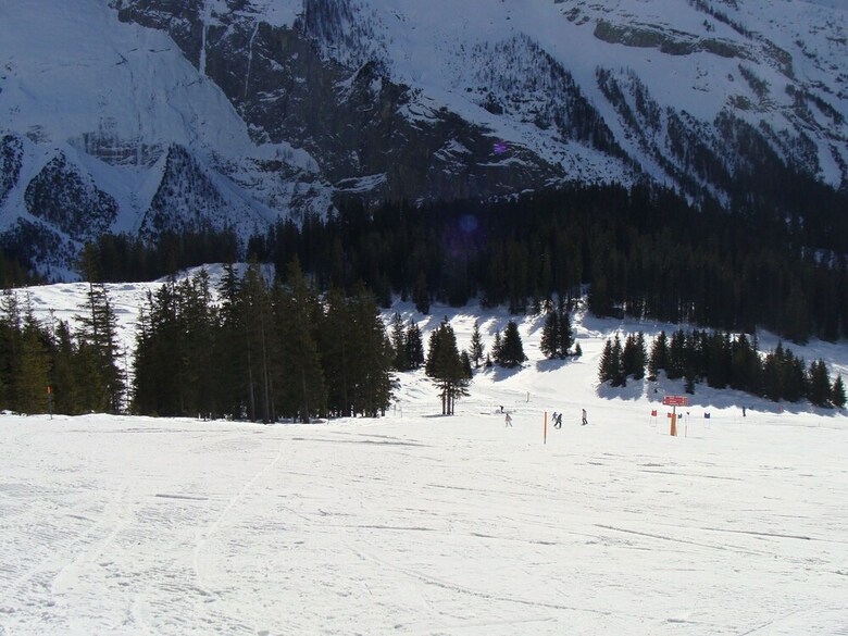 Cozy Holiday Home In Kandergrund With Bl�mlisalp View