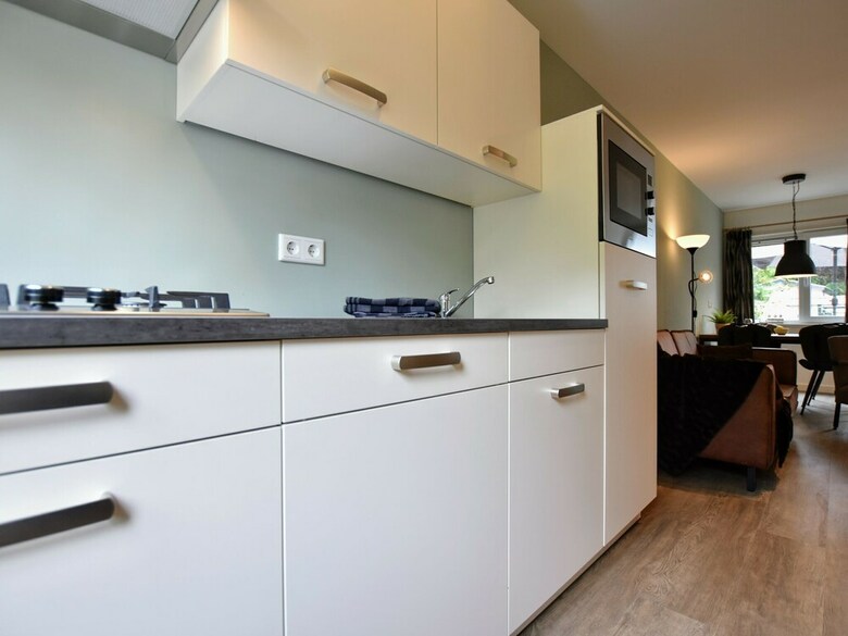 Modern Holiday Home In Hulshorst With Terrace