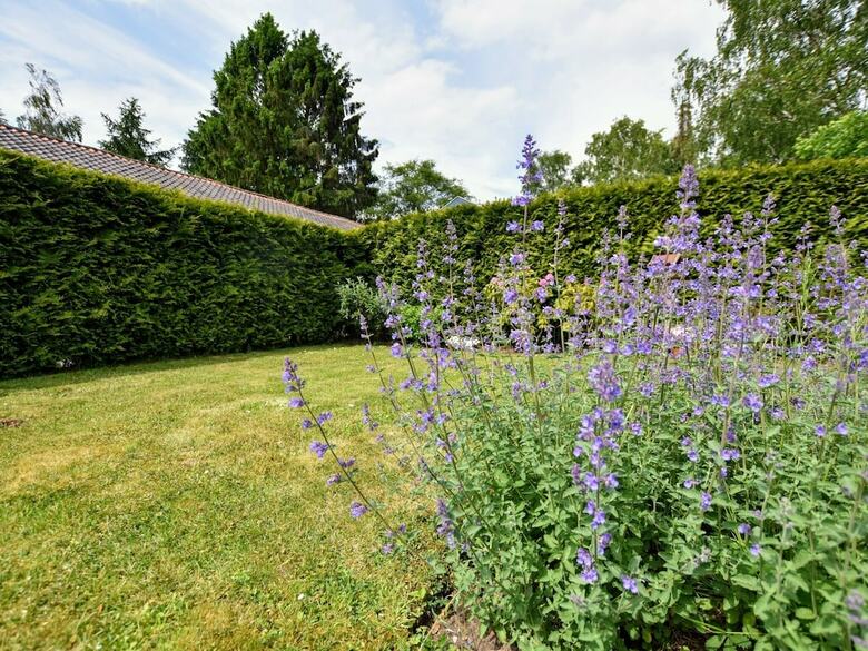 Spacious Chalet In Wolfheze With Garden