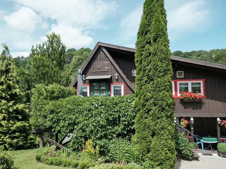 Quaint Holiday Home In Elbingerode Near Forest