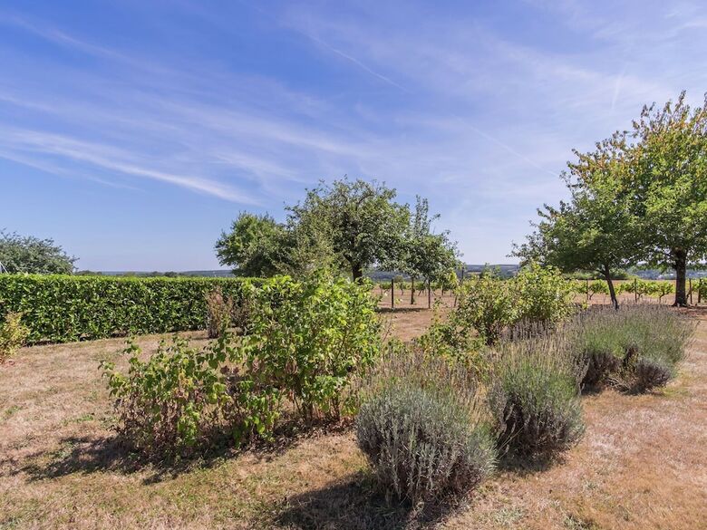 Luxurious Holiday Home In Montrichard With Pool
