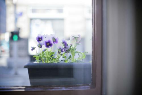 Bed & Breakfast 4citywindows