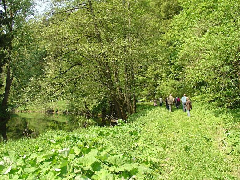 Cosy Apartment In Wilsecker Near The Forest