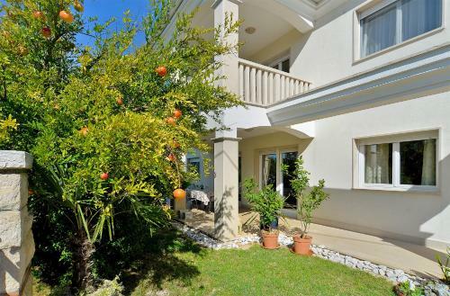 Apartment 1966