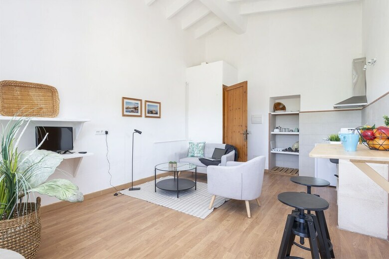 Apartamentos Sa Plana Nova