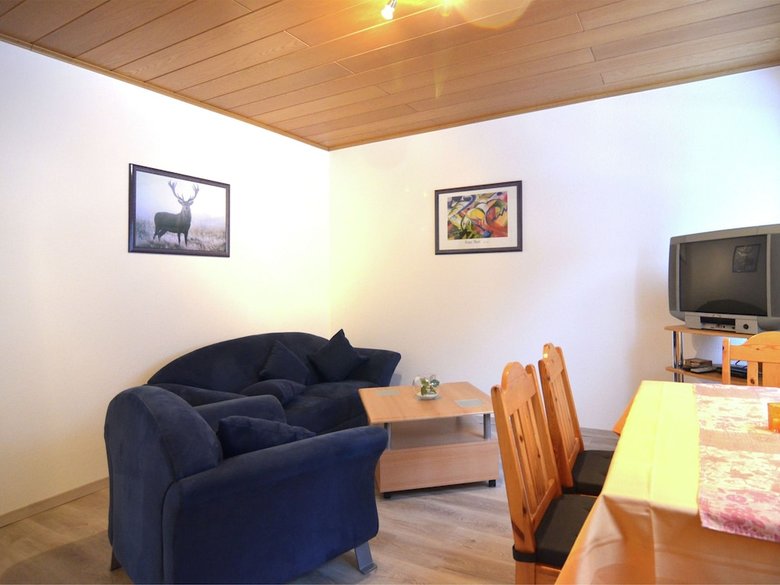 Pleasing Apartment In Dreislar Near Ski Area