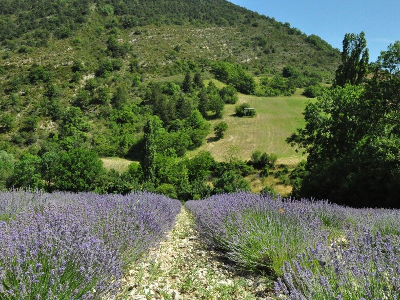 Lush Villa In Cairanne Provence With Private Pool