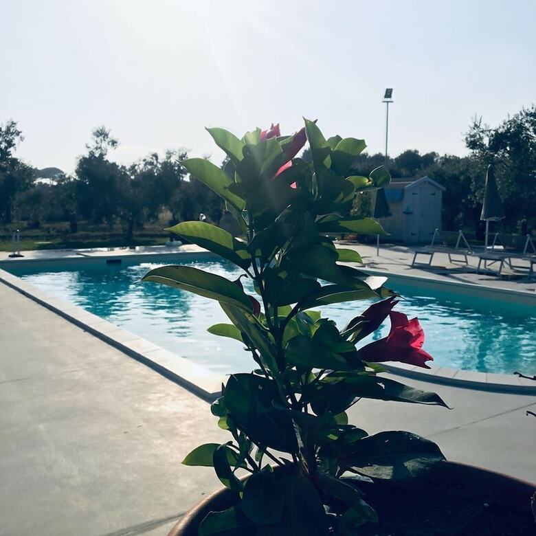 Bed & Breakfast Dimora Capasi Luxury
