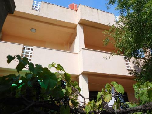 Apartamentos Studios Timing