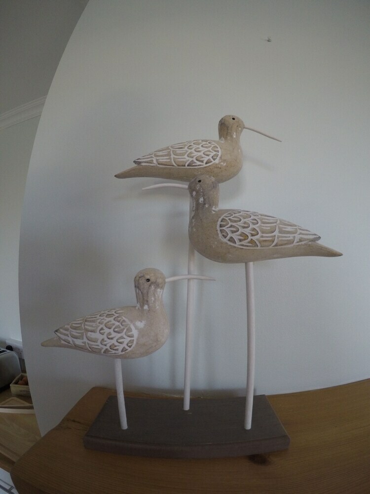 Seagull Cottage Bed And Breakfast