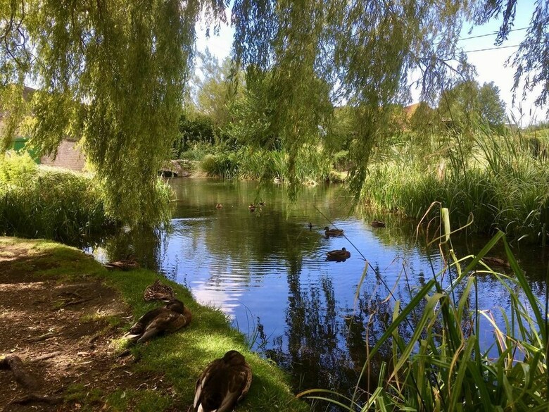 Idyllic Riverside Cottage In Dorset