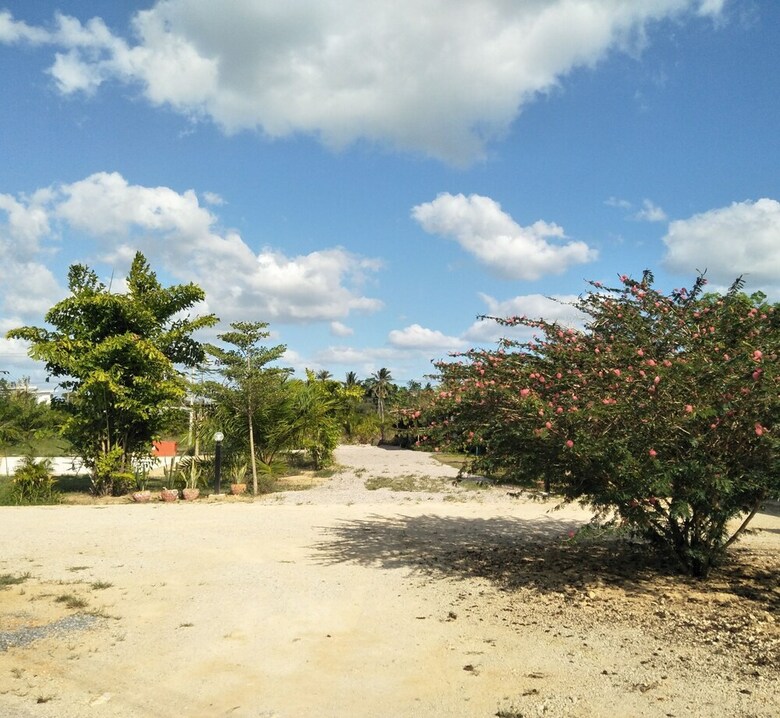 Hotel Oyo 767 Pang Chompu Resort