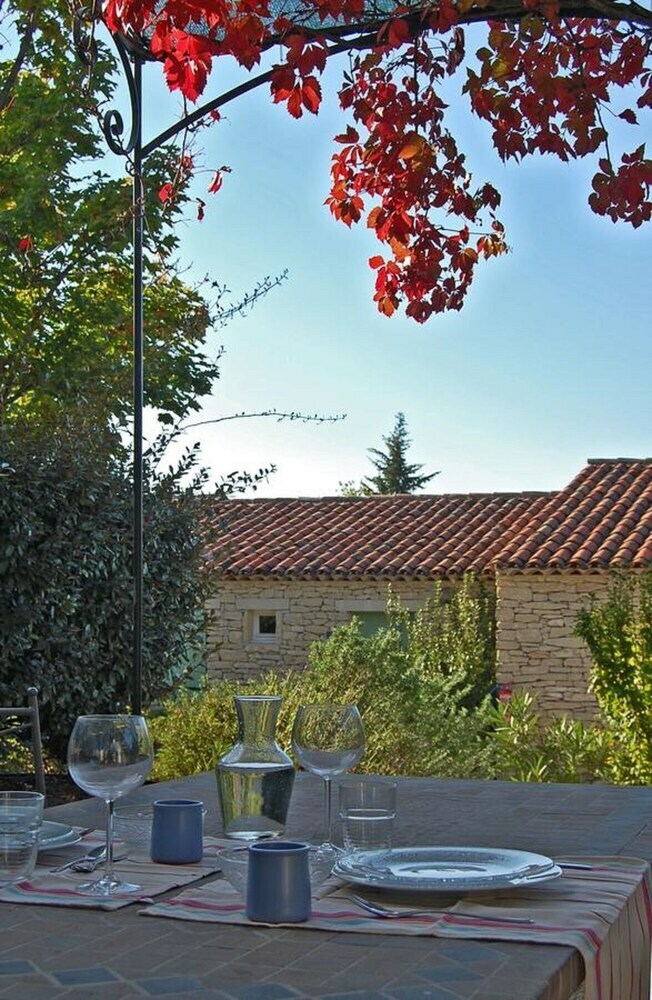 Cypr�s Du Paradis � Gordes.