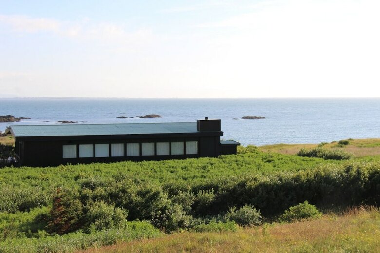 Nesv�k By The Sea